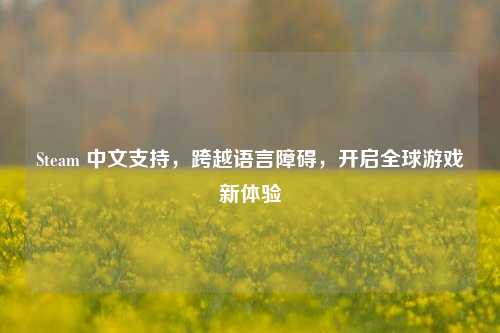 Steam 中文支持,跨越语言障碍,开启全球游戏新体验