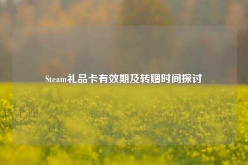 Steam礼品卡有效期及转赠时间探讨