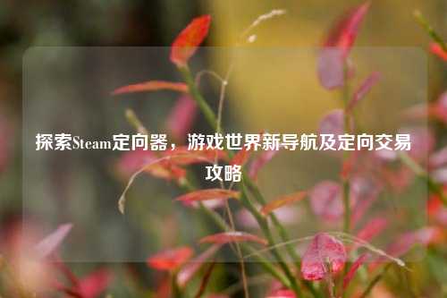 探索Steam定向器,游戏世界新导航及定向交易攻略