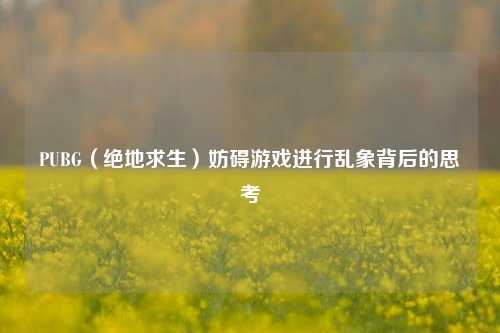 PUBG(绝地求生)妨碍游戏进行乱象背后的思考
