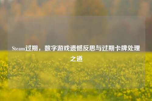 Steam过期,数字游戏遗憾反思与过期卡牌处理之道