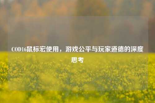 COD16鼠标宏使用,游戏公平与玩家道德的深度思考