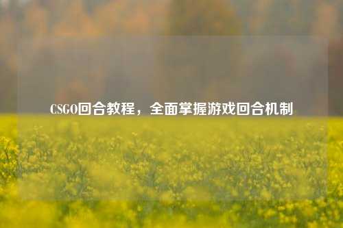 CSGO回合教程,全面掌握游戏回合机制