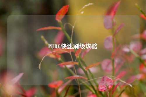 PUBG快速刷级攻略