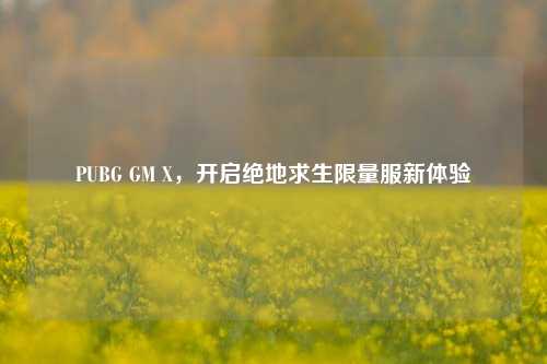 PUBG GM X,开启绝地求生***服新体验