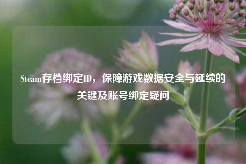 Steam存档绑定ID,保障游戏数据安全与延续的关键及账号绑定疑问