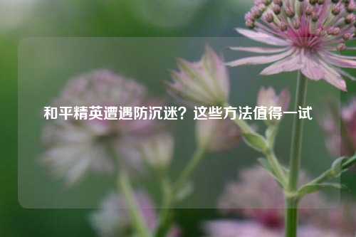 和平精英遭遇防沉迷?这些 *** 值得一试