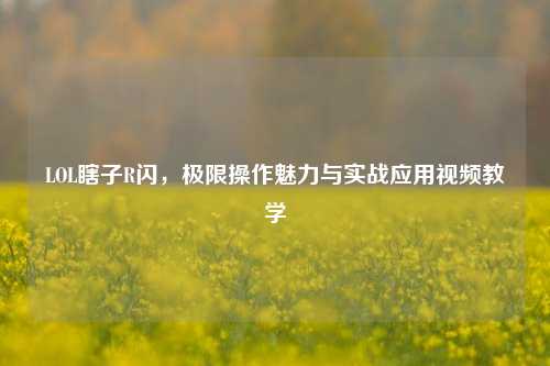 LOL瞎子R闪,极限操作魅力与实战应用视频教学