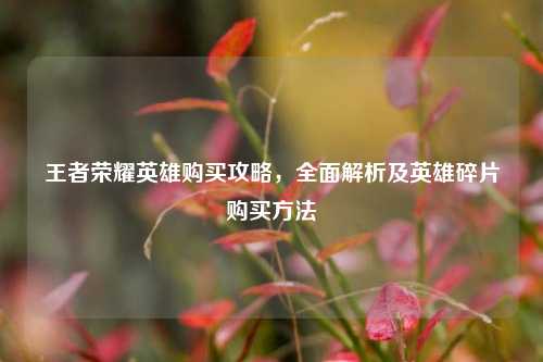 王者荣耀英雄购买攻略,全面解析及英雄碎片购买 ***
