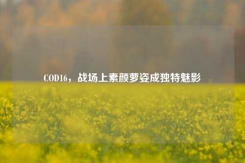 COD16,战场上素颜萝姿成独特魅影