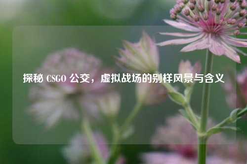 探秘 CSGO 公交,虚拟战场的别样风景与含义