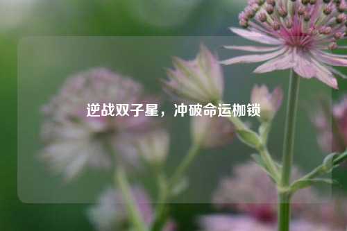 逆战双子星,冲破命运枷锁