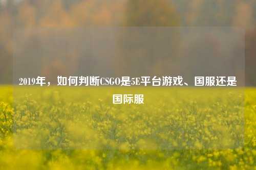 2019年,如何判断CSGO是5E平台游戏、国服还是国际服