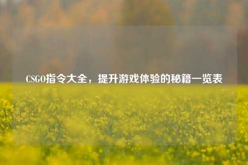 CSGO指令大全,提升游戏体验的秘籍一览表