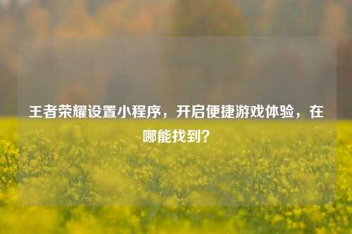 王者荣耀设置小程序,开启便捷游戏体验,在哪能找到?