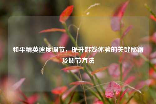 和平精英速度调节,提升游戏体验的关键秘籍及调节 ***