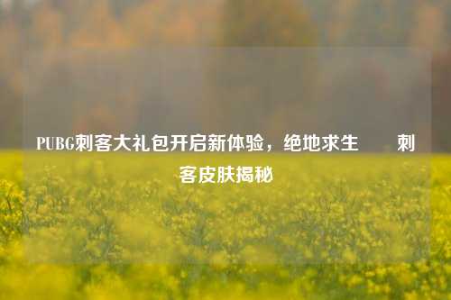 PUBG刺客大礼包开启新体验,绝地求生吽吽刺客皮肤揭秘