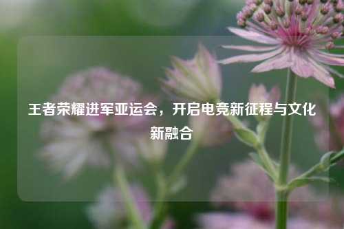 王者荣耀进军亚运会,开启电竞新征程与文化新融合