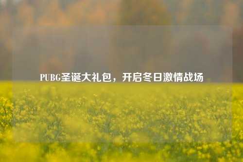 PUBG圣诞大礼包,开启冬日***战场