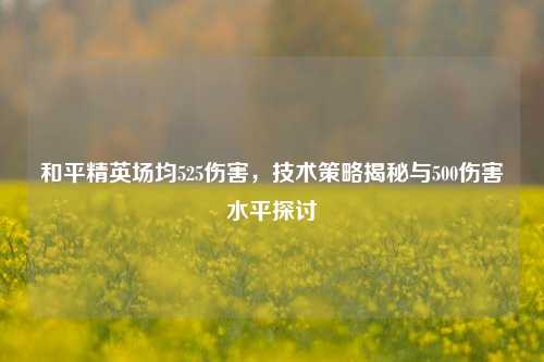 和平精英场均525伤害,技术策略揭秘与500伤害水平探讨