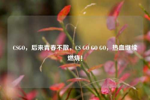 CSGO,后来青春不散,CS GO GO GO,热血继续燃烧!