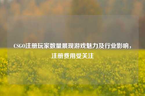 CSGO注册玩家数量展现游戏魅力及行业影响,注册费用受关注