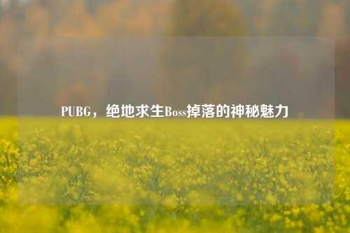 PUBG,绝地求生Boss掉落的神秘魅力