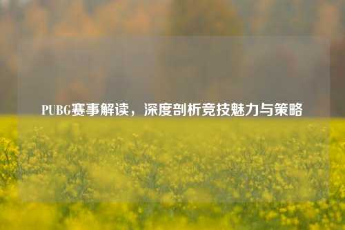 PUBG赛事解读,深度剖析竞技魅力与策略