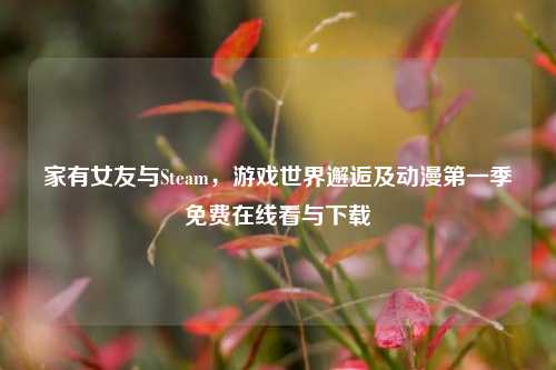 家有女友与Steam,游戏世界邂逅及动漫之一季免费在线看与下载
