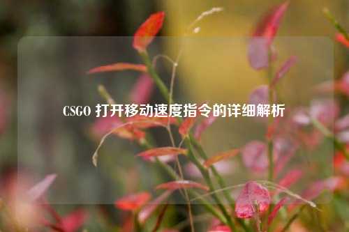 CSGO 打开移动速度指令的详细解析