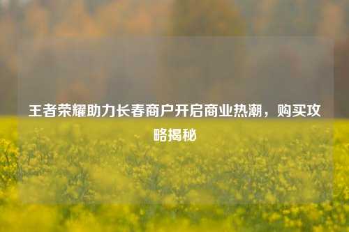 王者荣耀助力长春商户开启商业热潮,购买攻略揭秘