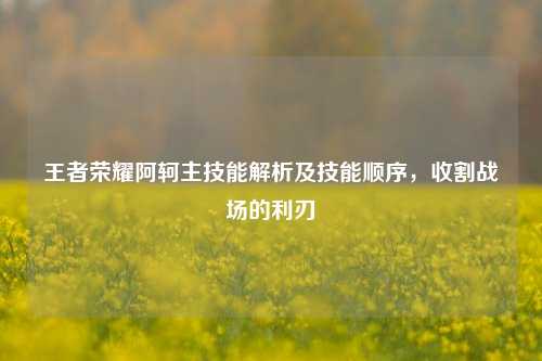 王者荣耀阿轲主技能解析及技能顺序,收割战场的利刃