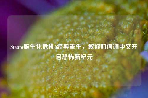Steam版生化危机6经典重生,教你如何调中文开启恐怖新纪元