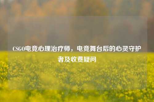 CSGO电竞心理治疗师,电竞舞台后的心灵守护者及收费疑问