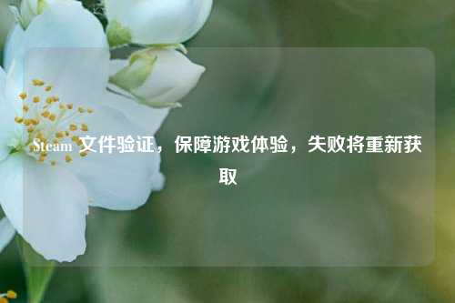 Steam 文件验证,保障游戏体验,失败将重新获取