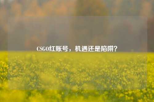 CSGO红账号,机遇还是陷阱?