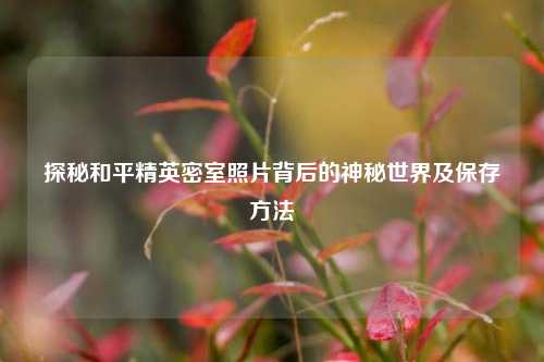 探秘和平精英密室照片背后的神秘世界及保存 ***