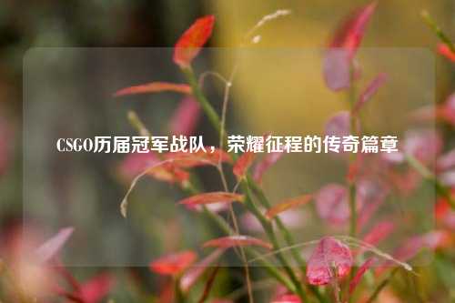 CSGO历届冠军战队,荣耀征程的传奇篇章