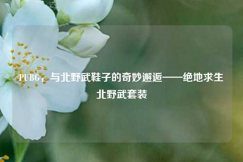 PUBG,与北野武鞋子的奇妙邂逅——绝地求生北野武套装