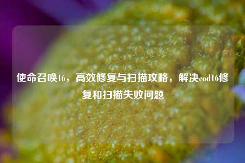 使命召唤16,高效修复与扫描攻略,解决cod16修复和扫描失败问题