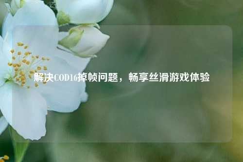 解决COD16掉帧问题,畅享丝滑游戏体验