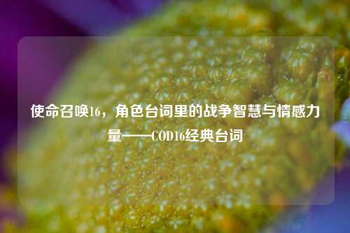使命召唤16,角色台词里的战争智慧与情感力量——COD16经典台词