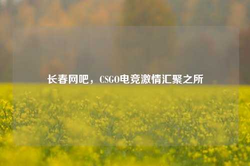 长春网吧,CSGO电竞***汇聚之所