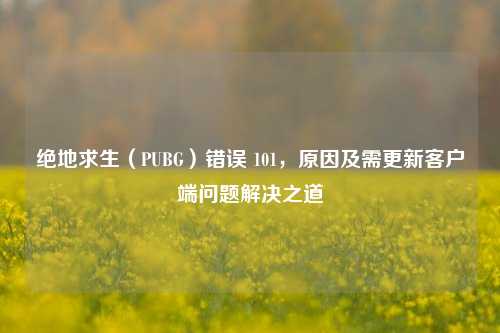 绝地求生（PUBG）错误 101，原因及需更新客户端问题解决之道