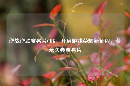 逆战逆联赛名片CDK，开启游戏荣耀新征程，获永久参赛名片