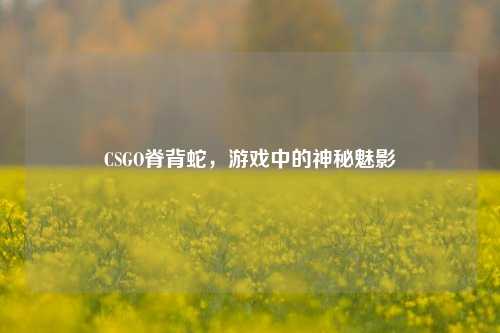 CSGO脊背蛇，游戏中的神秘魅影