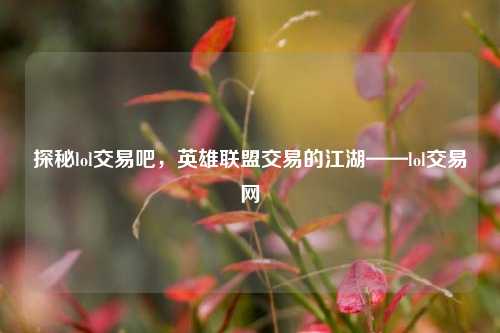探秘lol交易吧，英雄联盟交易的江湖——lol交易网
