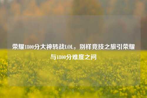 荣耀1800分大神转战LOL，别样竞技之旅引荣耀与1800分难度之问