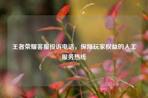 王者荣耀客服投诉电话，保障玩家权益的人工服务热线
