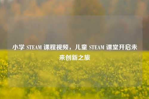 小学 STEAM 课程视频，儿童 STEAM 课堂开启未来创新之旅